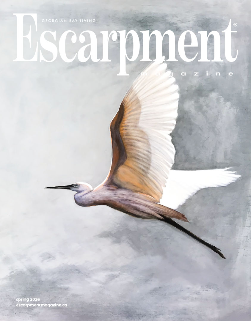 Escarpment Magazine Spring 2018