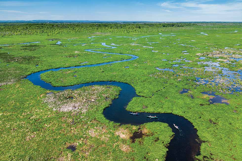 Minesing Wetlands Everglades Of The North Escarpment Magazine   Minesing Drone 1 CMYK Copy 